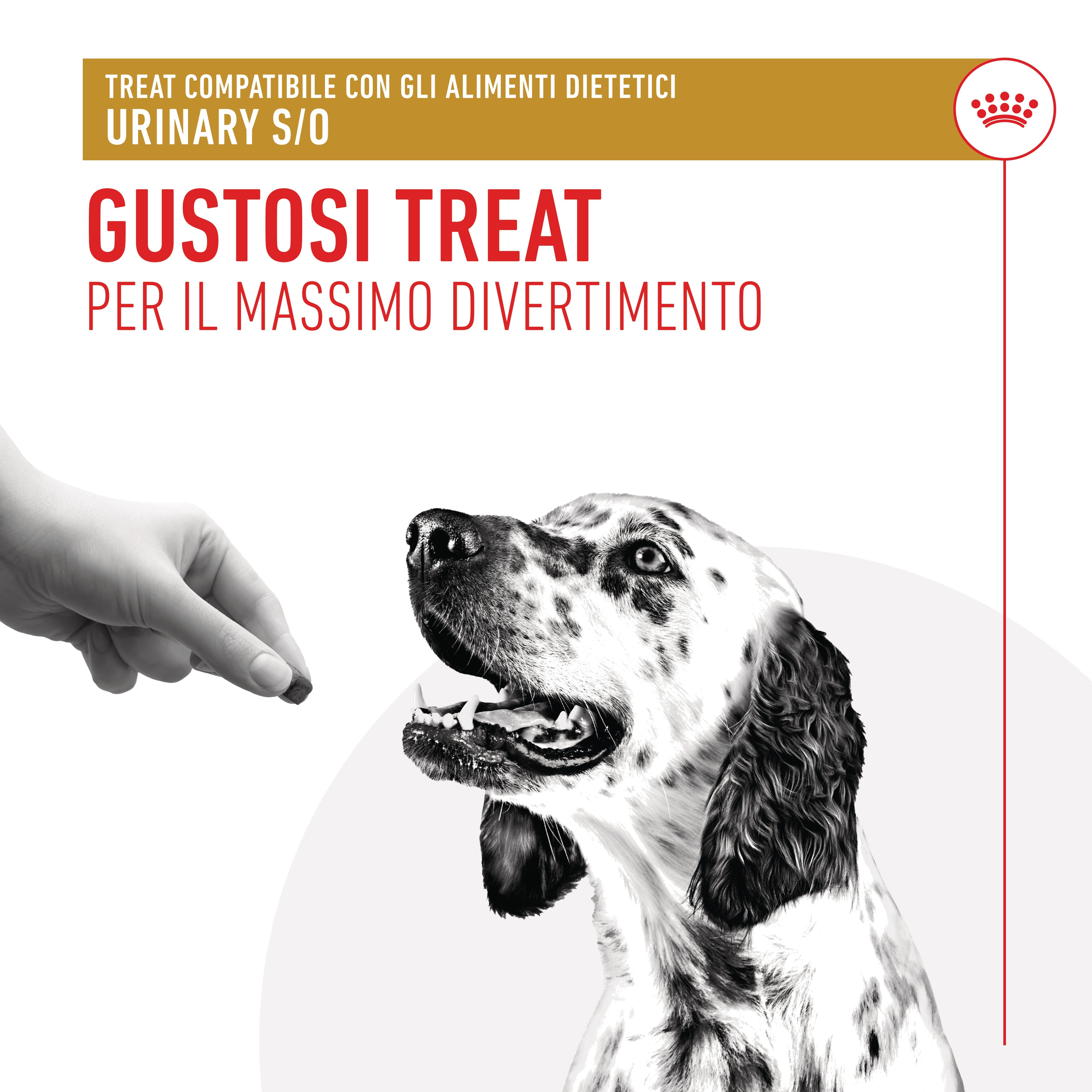 ROYAL CANIN Urinary Dog Treats 230g ROYAL CANIN Urinary Dog Treats 230g